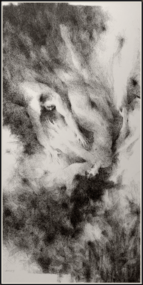 1992 Niagara (encre 20''x38'') $650