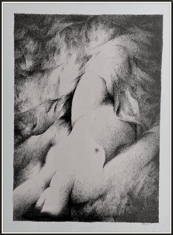 1995 encadré-éveil (encre 30x22) $800